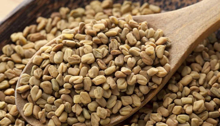 vegetarians,best source of protein,food items rich source of protein,protein,Health,Health tips