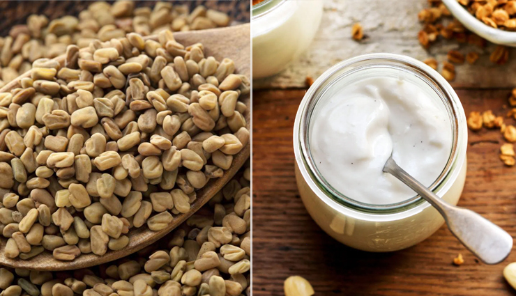 dull and damaged hair,home remedies to treat dull and damaged hair,dull hair,damaged hair,hair care tips,hair care,beauty,hair beauty,beauty