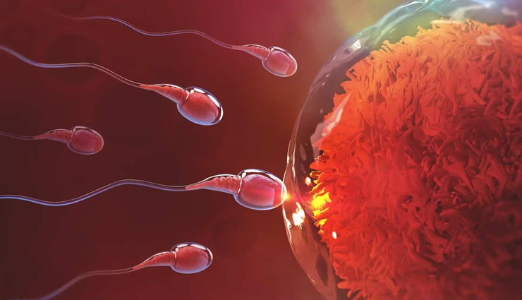 बेहतर प्रजनन क्षमता के लिए कैसा रखें अपना आहार? आइये जानें Health tips,health tips in hindi,better fertility diet,healthy food