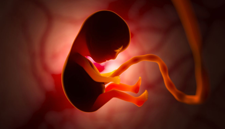 oyster health benefits,nutritional benefits of oysters,oysters for weight management,oysters and blood glucose regulation,antioxidants in oysters,omega-3 fatty acids in oysters,oysters and cardiovascular health,oysters and sexual health,oysters as an aphrodisiac,oysters and fetal development,oyster consumption risks,raw oysters and mercury contamination,cooking oysters safely,zinc in oysters,oyster protein for satiety,oysters for diabetes management,oysters and oxidative stress,omega-3 fatty acids for fetal health,oysters and cholesterol levels,oyster nutrients for overall well-being