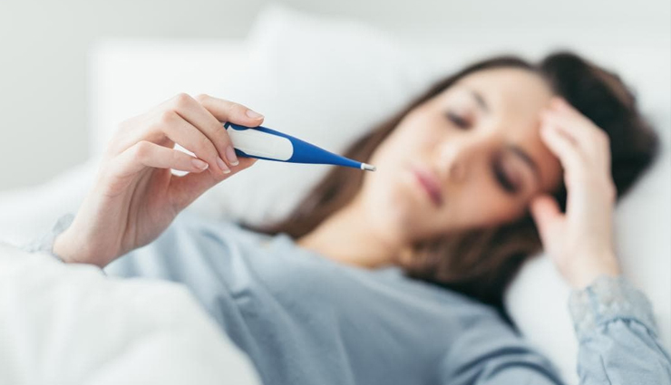 pudina benefits,mint,benefits in diseases,pudina,fever,illness,health news in hindi