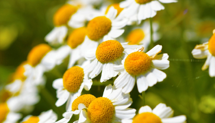 home remedies for migraine relief,natural treatments for migraines,migraine relief without medication,effective remedies for migraines at home,diy migraine treatments,natural migraine remedies,how to treat migraines at home,home-based migraine solutions,alleviating migraines naturally