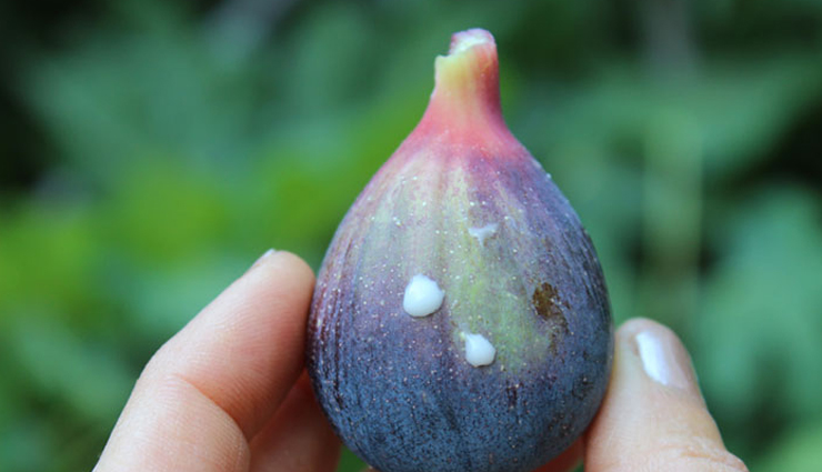 must try remedies to treat plantar warts at home,beauty tips,beauty hacks