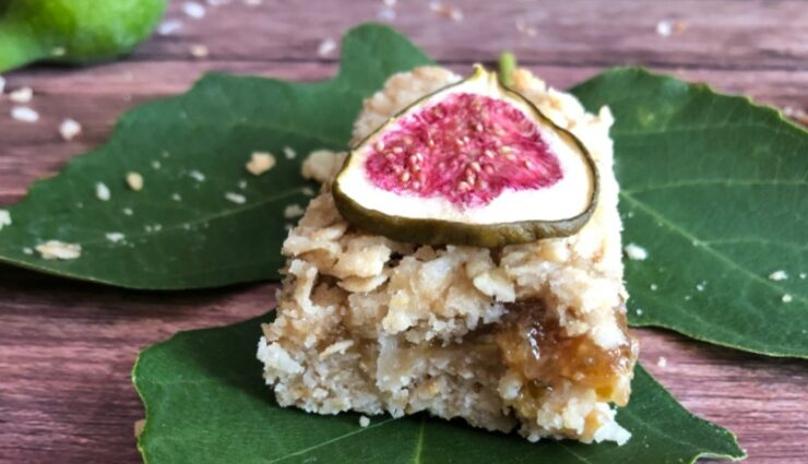 coconut fig squares,hunger struck,food