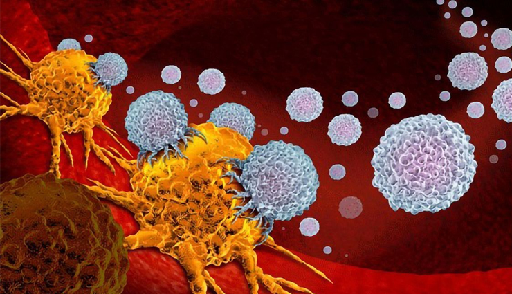 ways to fight cancer,Health tips,fitness tips