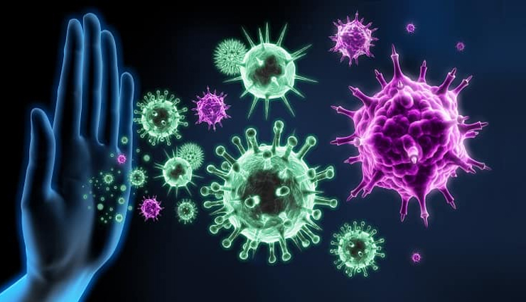 jujube health benefits,benefits of jujube,jujube fruit,jujube for health,jujube uses,jujube nutrition,health benefits of jujube,jujube for immunity,jujube for sleep,jujube for digestion,jujube fruit benefits,jujube medicinal properties,jujube for skin,jujube benefits for weight loss,jujube natural remedies,jujube fruit for detox,jujube in ayurveda,jujube health benefits for immunity,jujube fruit for anxiety