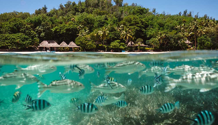 fiji,honeymoon places in fiji,namale,turtle island,the wakaya club & spa,tokoriki island resort,outrigger on the lagoon