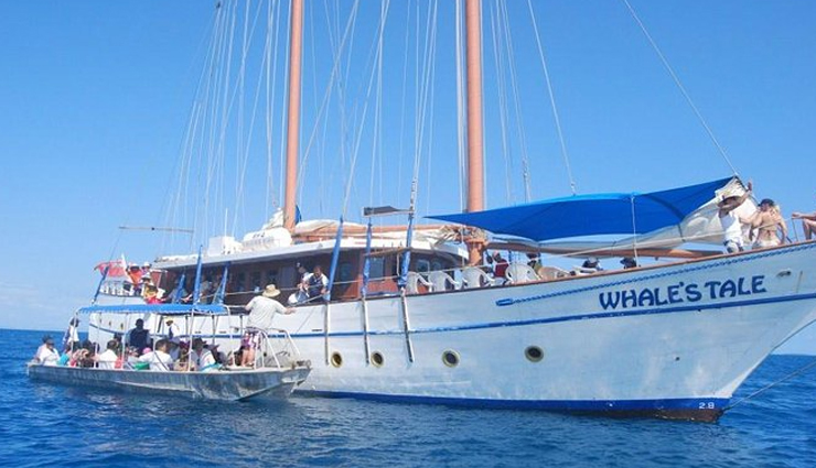 fiji,places to visit in fiji,tourist attraction in fiji,nadina authentic fiji restaurant,eco cafe