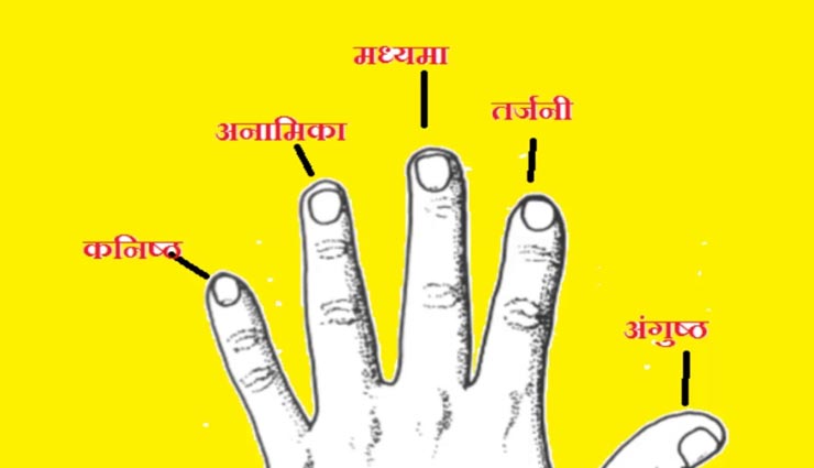 इंसान का स्वभाव बताती हैं उंगलियों की बनावट, जानें कैसे लगाए इसका पता astrology tips,astrology tips in hindi,human nature,palmistry,sanudra shashtra,nature by hand fingers