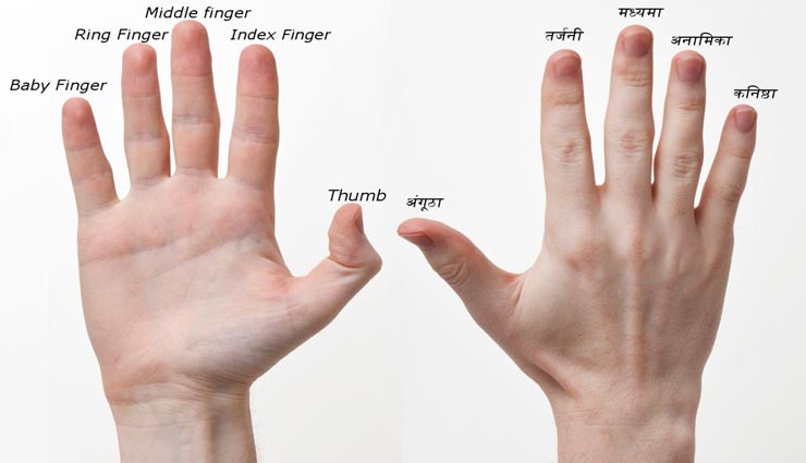 astrology tips,astrology tips in hindi,fingers reveal the secret,palmistry ,ज्योतिष टिप्स, ज्योतिष टिप्स हिंदी में, उंगलियों से व्यक्ति कि पहचान, सामुद्रिक शास्त्र, हस्तरेखा ज्ञान