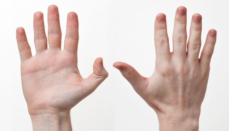 उँगलियों के बीच का गैप दर्शाता है व्यक्ति का स्वभाव, जानें कैसे पता करें इसके बारे में