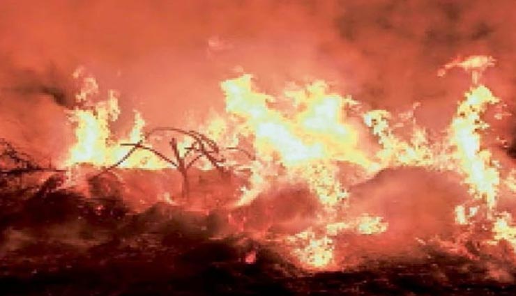 राजस्थान : भीषण आग में लाखों का कड़बी हुआ राख, गांव में मच गया हाहाकार, देर रात पाया गया काबू