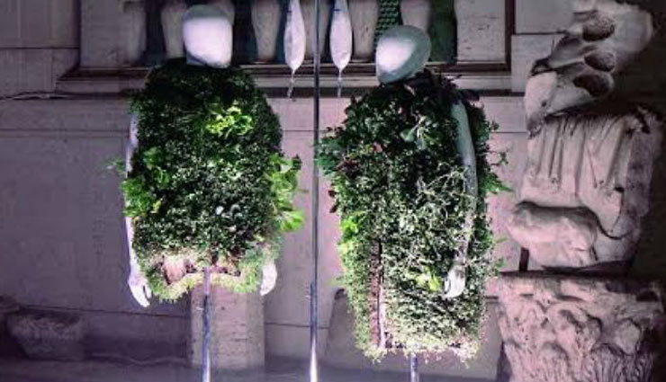 कपड़ों की तरह पहन सकते है इस गार्डन को, उगा सकते है 22 तरह की सब्जियां