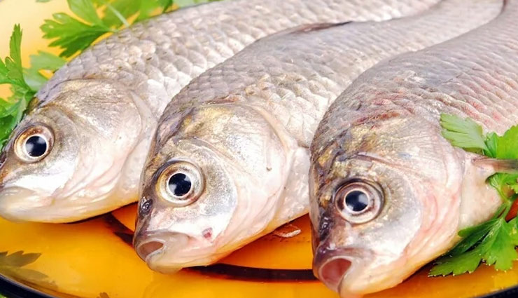 बच्चों का दिमाग कंप्यूटर से भी तेज बनाए बस ये एक चीज, आइये जानें इसके बारे में