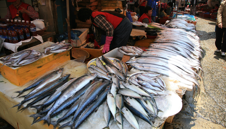 bergen,norway,things to do in bergen,bergen travel,bergen holidays,travel,travel guide,travel tips