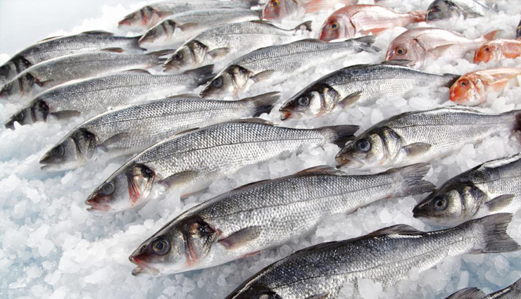 सर्दियों में खाएं अलसी, होंगे ये गजब के फायदे flax seeds,health benefits of flax seeds,flax seeds for good health,healthy food flax seeds