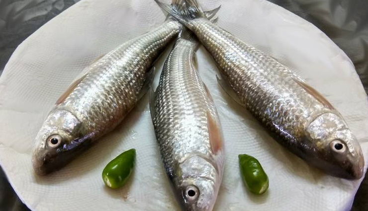 brain-boosting foods,foods for enhancing brain function,best foods for brain health,brain-nourishing food choices,foods to boost cognitive function,nutrient-rich brain foods,top foods for optimal brain health,superfoods for brain enhancement,foods that support brain function,brain-empowering diet choices,दिमाग की शक्ति बढ़ाने वाले आहार,ब्रेन पावर बढ़ाने वाले फूड्स,स्मार्ट खाने से दिमाग को तेज करें,दिमाग की सेहत के लिए खास आहार,दिमाग को तेज करने वाले भोजन,स्मार्ट फूड्स ब्रेन के लिए,ब्रेन पावर बढ़ाने के लिए फूड आइटम्स,दिमाग को शार्प रखने वाले खाद्य पदार्थ,ब्रेन हेल्दी फूड्स,ब्रेन फ़ंक्शन को बढ़ावा देने वाले आहार