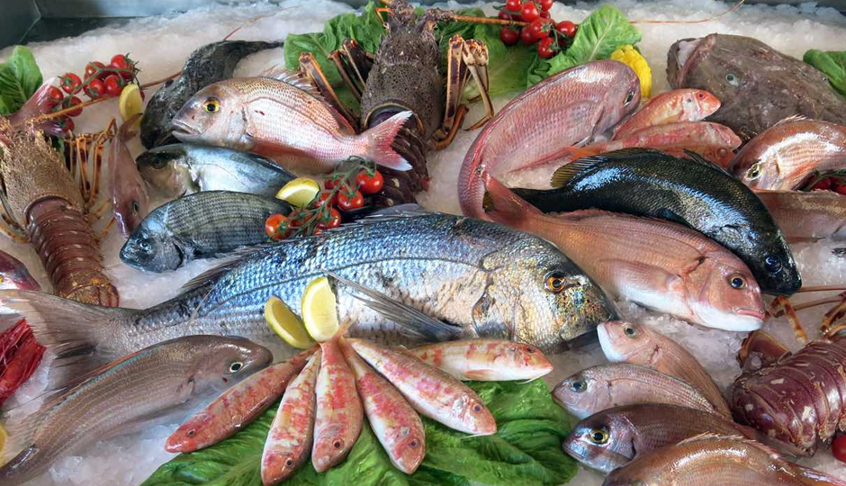 10 Healthy Fishes You Can Eat