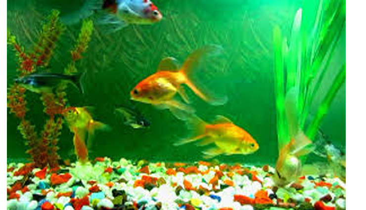 money,jeevan mantra,vastu