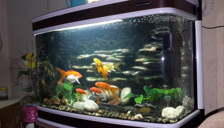 fish aquarium in house,vastu tips fish aquarium in house,vastu tips