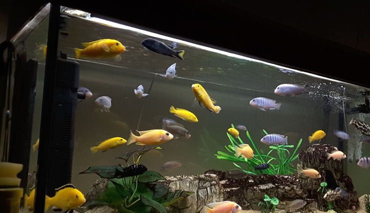 tips to save water,household tips