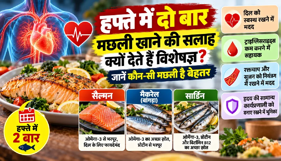 हफ्ते में दो बार मछली खाने की सलाह क्यों देते हैं विशेषज्ञ? जानें कौन-सी मछली है बेहतर