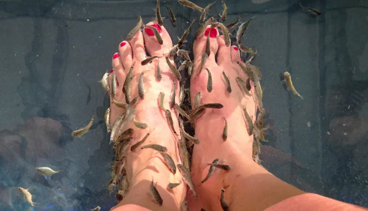 6 Really Amazing Benefits of Fish Pedicure