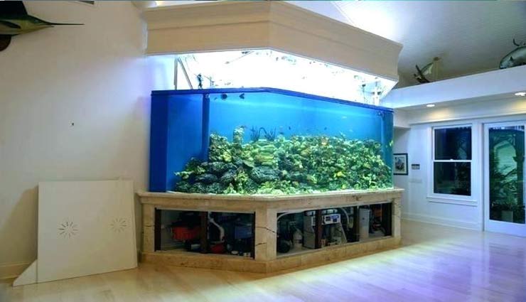 aquarium in the house,fish tank,fishes in house,household tips,home decor tips ,फिश टैंक , हाउसहोल्ड टिप्स, होम डेकोर टिप्स 