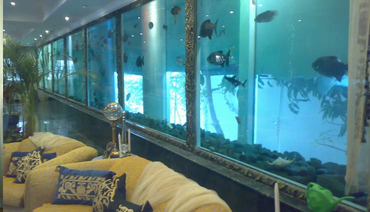 फिश एक्वेरियम बढ़ाए घर की सुंदरता, वास्तुदोष भी होते है दूर