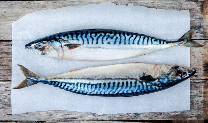 most healthiest fish from around the world,Health,healthy living