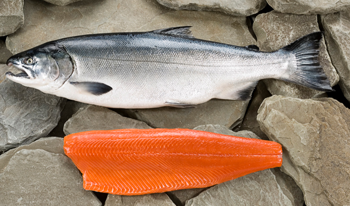 most healthiest fish from around the world,Health,healthy living