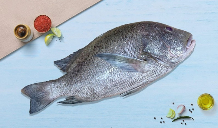 6 Most Healthiest Fish From Around The World - lifeberrys.com