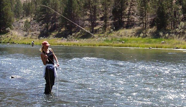 best activities in jim corbett national park,jeep safari permits jim corbett,where to stay in jim corbett,elephant rides in jim corbett national park,rafting on kosi river jim corbett,top bird watching spots jim corbett,river crossing adventure jim corbett,camping experiences near jim corbett,rock climbing adventures jim corbett,trekking routes in jim corbett national park,fishing spots near jim corbett,best time for activities in jim corbett