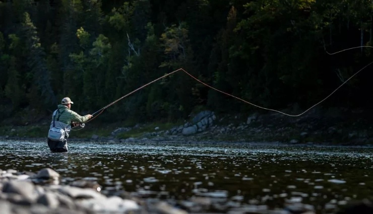 himachal pradesh tourism,places to visit in himachal pradesh,himachal travel guide,himachal pradesh vacations,himalayan destinations,himachal nature spots,adventure in himachal,cultural heritage himachal,apple orchards himachal,temples in himachal pradesh,top experiences himachal,himachal tourism guide