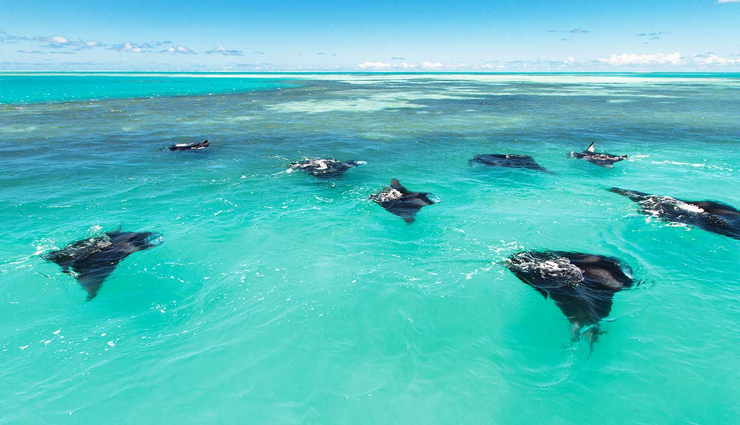 seychelles,attractions in seychelles,fishing on alphonse island,scuba diving at marianne rock,dinner on the rocks at constance lemuria,bike riding on la digue,go black parrot-spotting in the vallee de mai,meet esmeralda,the biggest tortoise in the world,visit sir selwyn selwyn-clarke market,travel,holidays,travel guide