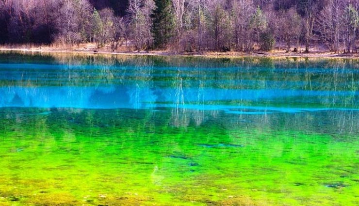 lakes,world beautiful lakes,dal lake,shangrila lake,five flower lake,matheson lake,plitvice lake