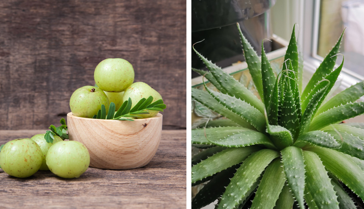 amla face pack for skin,diy amla face mask,homemade amla face pack,amla powder for glowing skin,amla face pack benefits,natural amla face pack recipes,amla skincare routines,diy amla beauty treatments,amla for clear skin,amla face pack for radiance