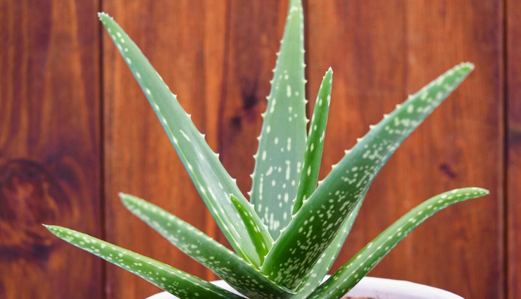 Lemon,honey,aloe vera,yogurt,cucumber,turmeric,papaya,orange peel,potato,beauty tips,skin care tips,home made face masks,natural remedies for clear skin