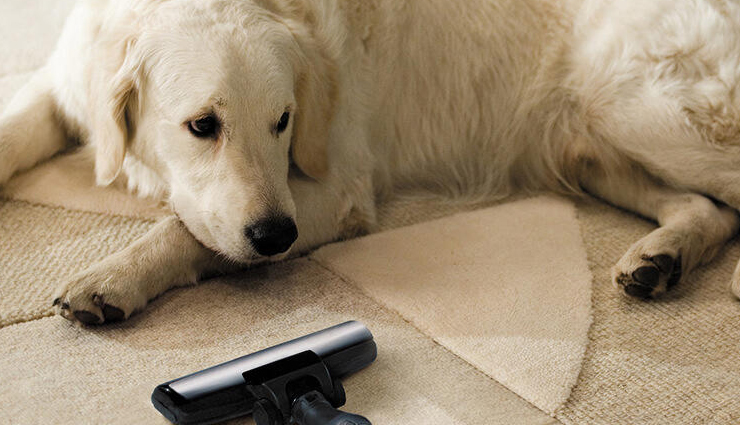 diy flea spray,flea spray using vinegar and baking soda,healthy living,Health tips