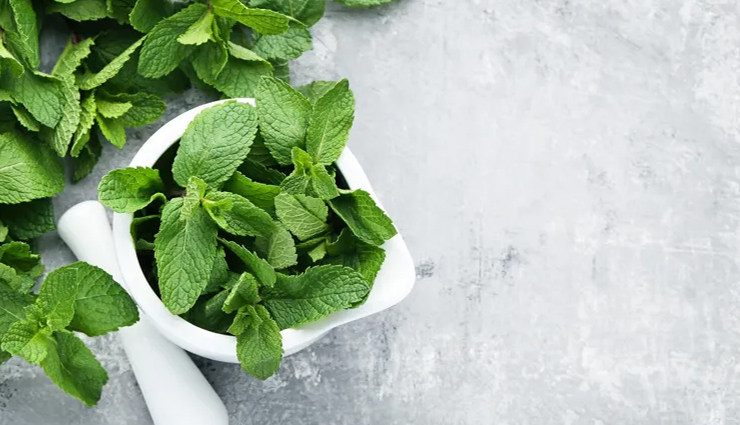 home remedies,home remedies to keep flies away from house,house care tips,flies removal tips