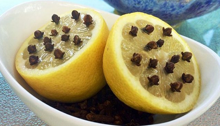 home remedies,home remedies to keep flies away from house,house care tips,flies removal tips