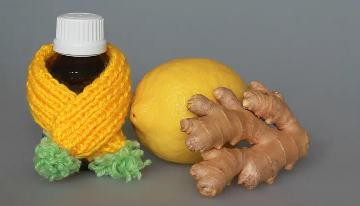 home remedies,home remedies to keep flies away from house,house care tips,flies removal tips