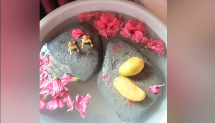 floating stone in water,jwalamukhi kangra himahal pradesh,kangra himahal pradesh,weird news in hindi,weird news ,हिमाचल प्रदेश,कांगड़ा,पानी में तैरने वाले पत्थर,अजब गजब खबरे हिंदी में