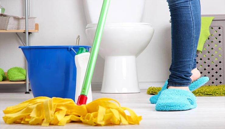 home tips,home tips in hindi,household tips,house flies remedies