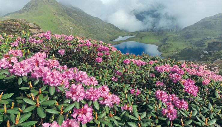 sikkim,sikkim tourism,tourist places in sikkim,sikkim tourism,holidays,travel guide