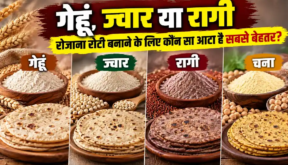 गेहूं, ज्वार या रागी: रोजाना रोटी बनाने के लिए कौन सा आटा है सबसे बेहतर?