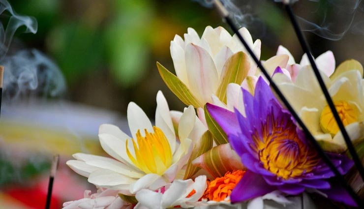 vastu tips,vastu tips in hindi,flowers bring happiness,flower and vastu ,वास्तु टिप्स, वास्तु टिप्स हिंदी में, फूल और वास्तु, फूलों से सकारात्मकता