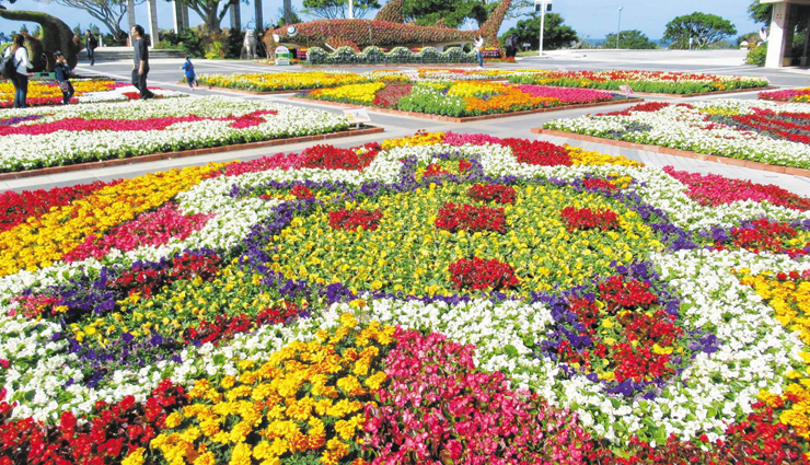 places to gaze at the beautiful flowers,okinawa,tokyo,blickling estate,norfolk,uk,keukenhof,lisse,the netherlands,monets garden,giverny,france,cape floral kingdom,south africa,mainau island,germany