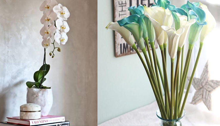 इन फूलों की मदद से खत्म होगी वैवाहिक जीवन की बोरिंग लाइफ, जागेगा रोमांस flowers in house,love in the atmosphere,flowers for love in the atmosphere,household tips,home decor,orchids,lilly,tulips