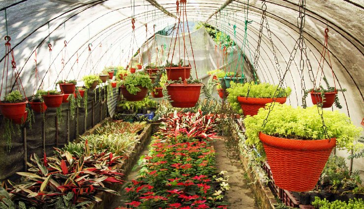 kalimpong,west bengal,must visit places,zang dhok palri phodang monastery,deolo hill,morgan house,cactus nursery,thongsa gompa,dr grahams homes,flower nurseries,kalimpong science centre,lava,neora valley national park